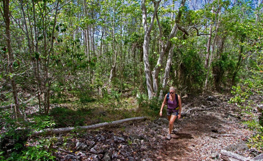 Manuka State Wayside, United States